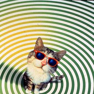 Bilder Dieser verflixte Kater