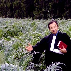 Bilder Die Sammler und die Sammlerin