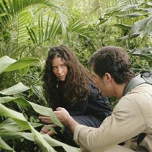 Bilder Evangeline Lilly