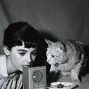 Bilder Das Tagebuch der Anne Frank