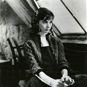 Bilder Das Tagebuch der Anne Frank