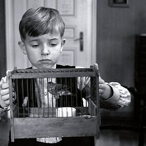 Bilder Das weiße Band