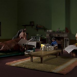 Bilder Vincent Patar