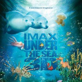 Bilder Under The Sea