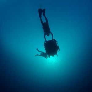 Bilder Under The Sea