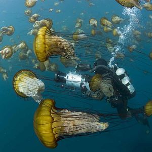 Bilder Unsere Ozeane