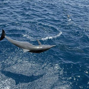 Bilder Unsere Ozeane