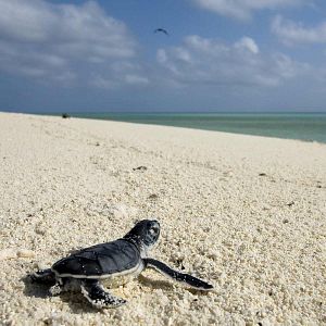 Bilder Unsere Ozeane