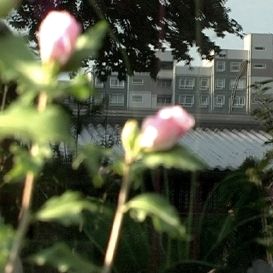 Bilder Wasser und Seife