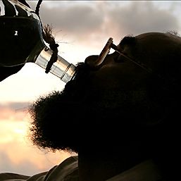 Bilder Die Reisen des Windes