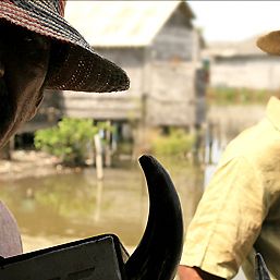 Bilder Die Reisen des Windes