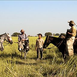 Bilder Die Reisen des Windes
