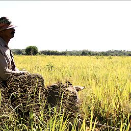 Bilder Die Reisen des Windes
