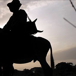 Bilder Die Reisen des Windes