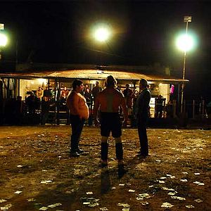 Bilder Bad Day to Go Fishing