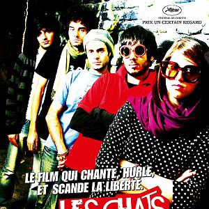 Bilder Bahman Ghobadi