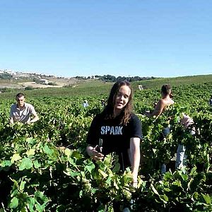 Bilder Alison Murray