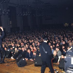 Bilder Elektrokohle (Von Wegen)