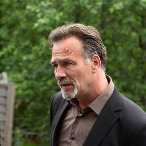 Bilder Jakobs Bruder