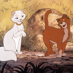 Bilder Aristocats