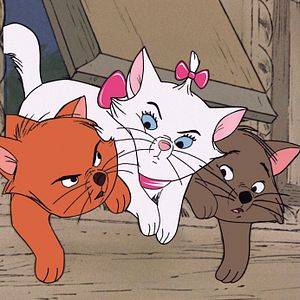 Bilder Aristocats