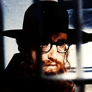 Bilder Woody - der Unglücksrabe