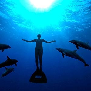 Die Bucht : Bild Louie Psihoyos