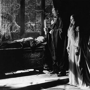 Bilder Elizabeth Allan