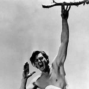 Bilder Tarzan und sein Sohn