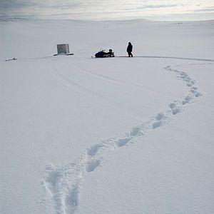 Bilder The Last Winter