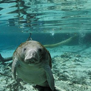 Bilder Jean-Jacques Mantello