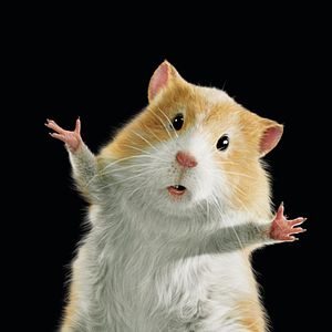 Bilder G-Force - Agenten mit Biss