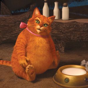 Bilder Für immer Shrek