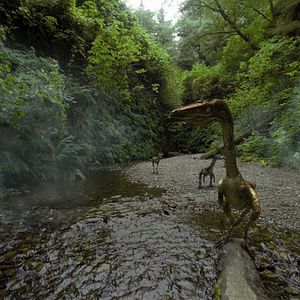 Bilder Dinosaurier Live 3D - Fossilien zum Leben erweckt