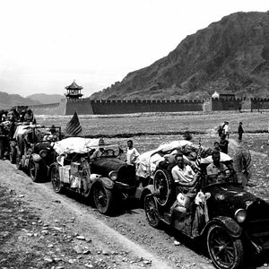 Bilder Dinosaurier Live 3D - Fossilien zum Leben erweckt