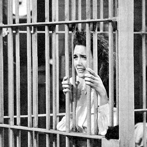 Bilder Julia Campbell