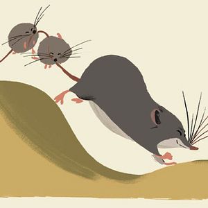 Bilder Gary Rydstrom