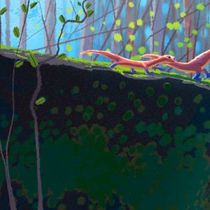 Bilder Gary Rydstrom