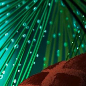 Bilder Gary Rydstrom