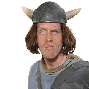 Bilder Wickie und die starken Männer