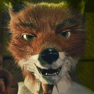 Bilder Der fantastische Mr. Fox