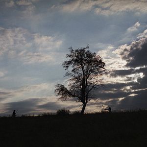 Bilder Mitte Ende August