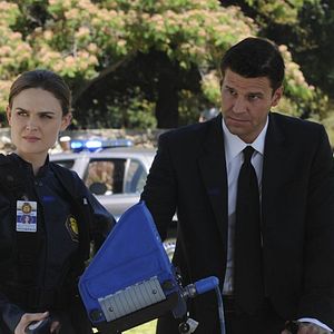 Bilder David Boreanaz