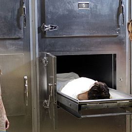 Bilder Jennifer Love Hewitt