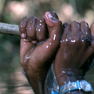 Bilder Philippe Van Leeuw