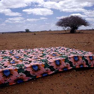 Bilder I travel because I have to, I come …