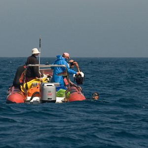 Bilder The Last Giants - Wenn das Meer stirbt