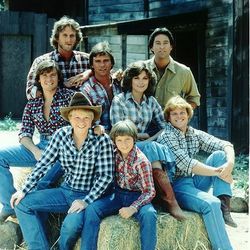 Bilder Seven Brides for Seven Brothers