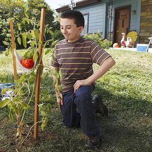 Bilder Atticus Shaffer