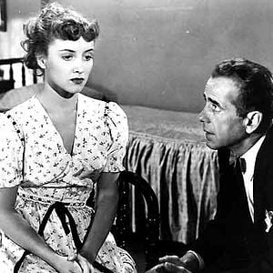 Bilder Bretaigne Windust